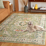 SAFAVIEH Madison Willodean Boho Oriental Distressed Rug