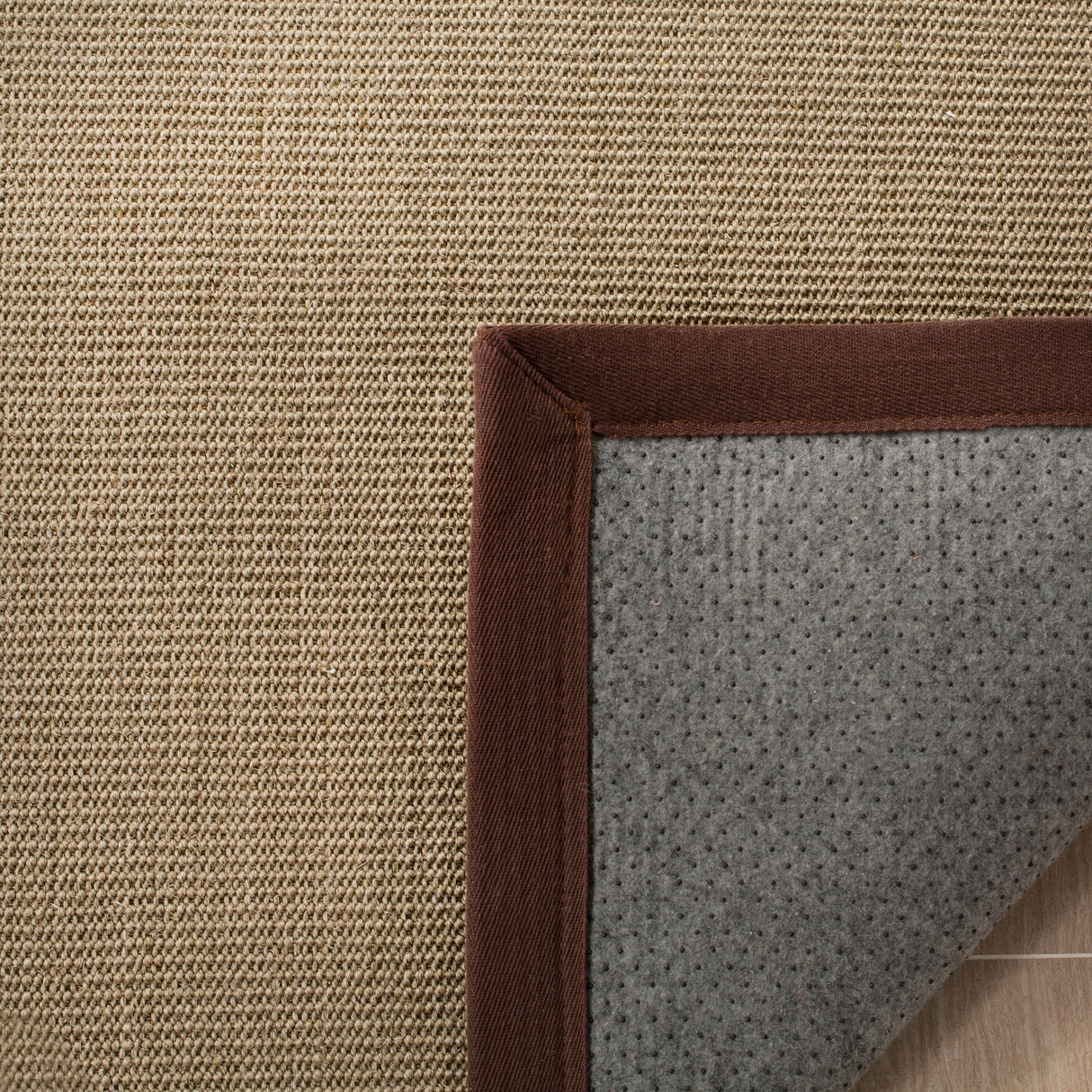 SAFAVIEH Natural Fiber Alleen Casual Border Sisal Rug