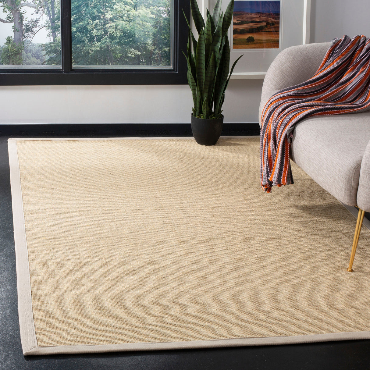 SAFAVIEH Natural Fiber Alleen Casual Border Sisal Rug