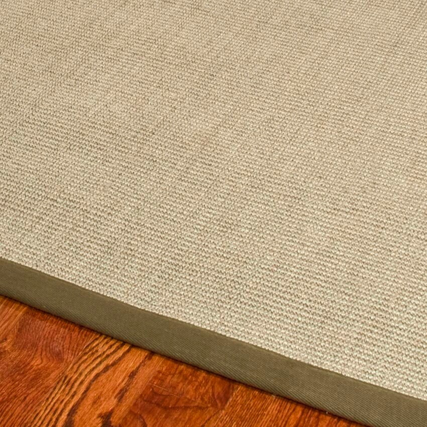 SAFAVIEH Natural Fiber Madelyn Border Sisal Rug