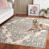 SAFAVIEH Paradise Eilika Watercolor Modern Viscose Rug