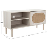 SAFAVIEH Sade Single Door 2-Shelf Media Stand - 47" W x 15" D x 24" H - 47Wx15Dx24H