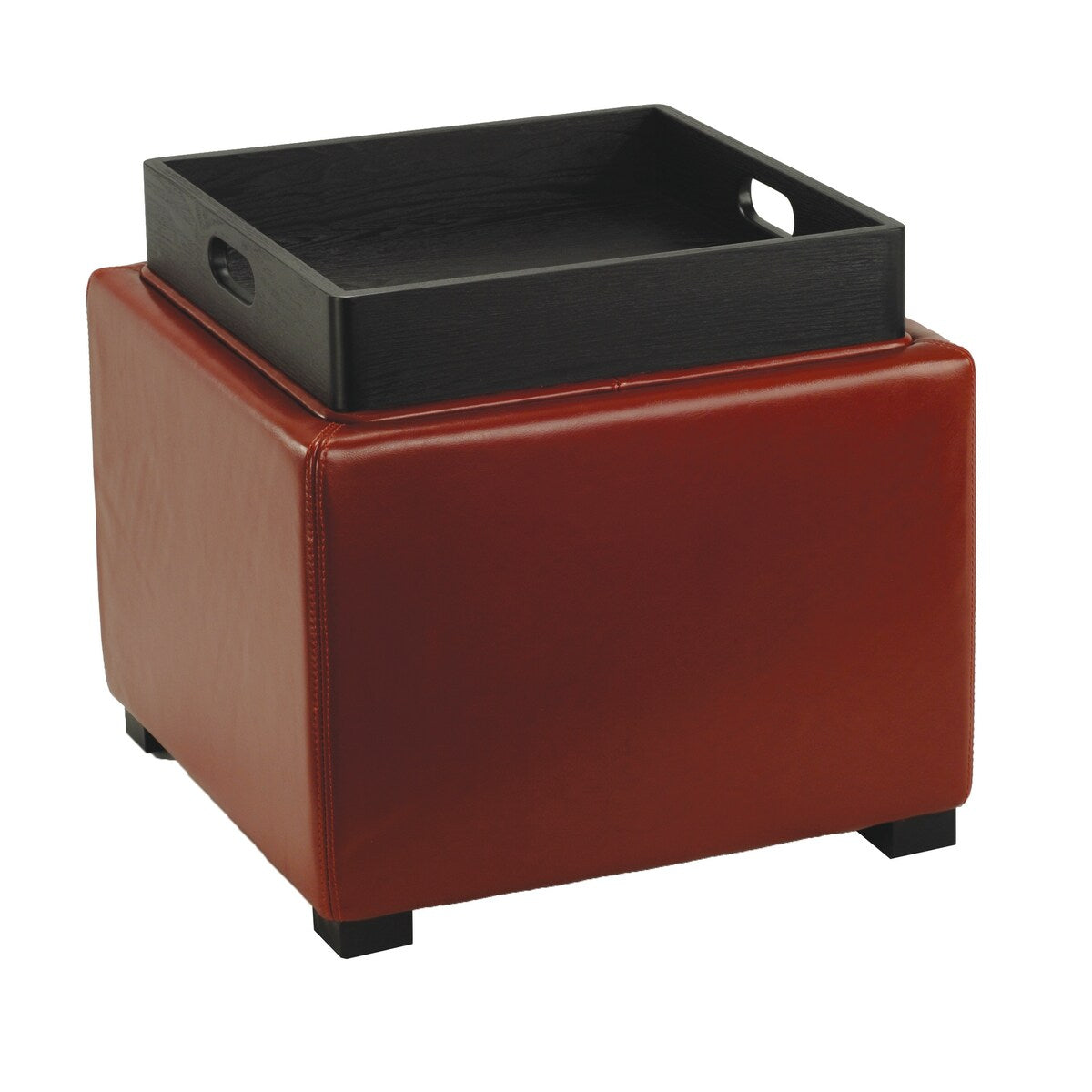 SAFAVIEH Tamie Tray Cordovan Leather Storage Ottoman