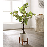 SAFAVIEH Vanessa Faux Decorative Eucalyptus Potted Artificial Tree - 13.4" W x 13.4" L x 34.3" H - 13Wx13Dx34H