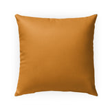 TROPIC BREEZE TANGERINE Outdoor Pillow By Kavka Designs